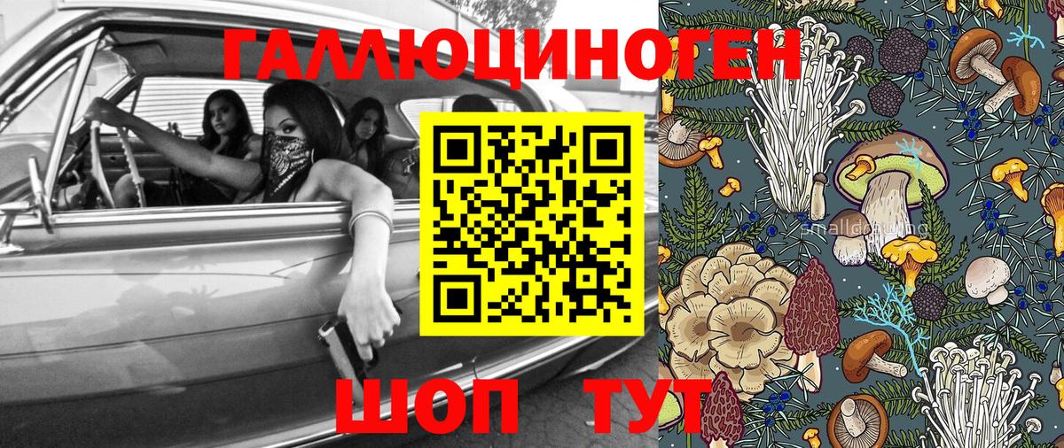 Галлюциногенные грибы MAGIC MUSHROOMS Трёхгорный