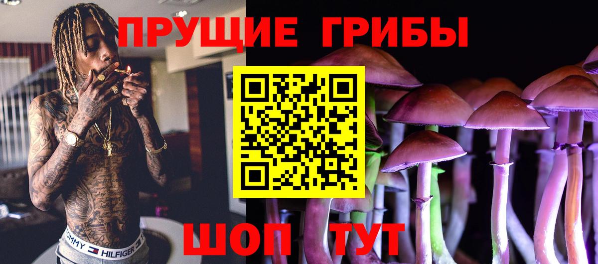 Галлюциногенные грибы ЛСД  Псилоцибиновые грибы Psilocybe  купить  цена  Вход с VPN  Трёхгорный 